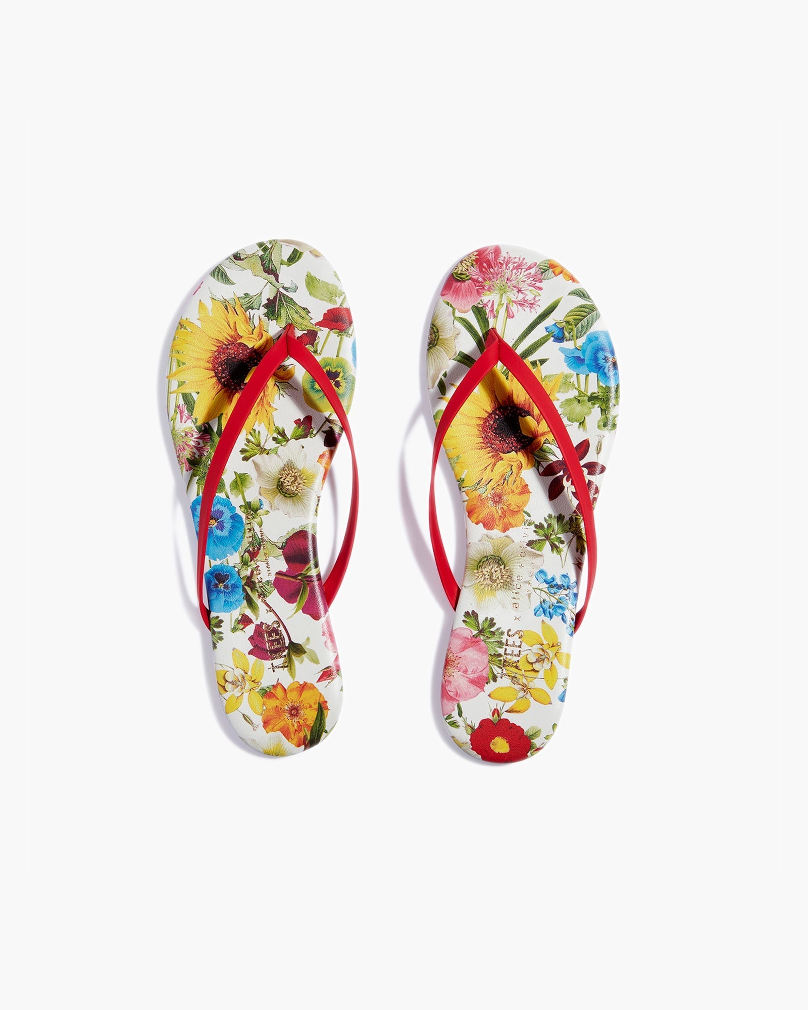 Tong TKEES TKEES x Alice + Olivia Lily Multicolore Femme | INM-34489838