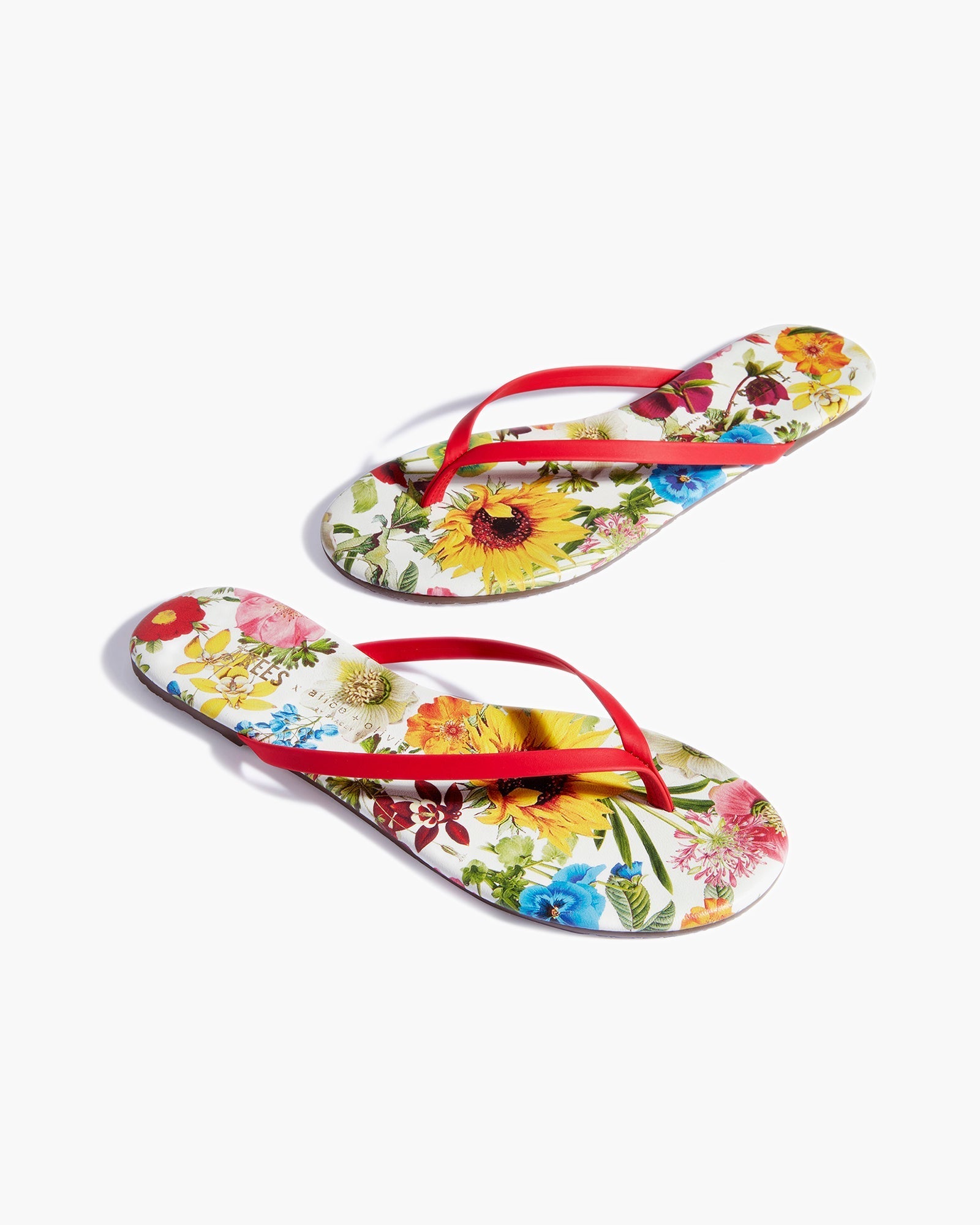 Tong TKEES TKEES x Alice + Olivia Lily Multicolore Femme | INM-34489838